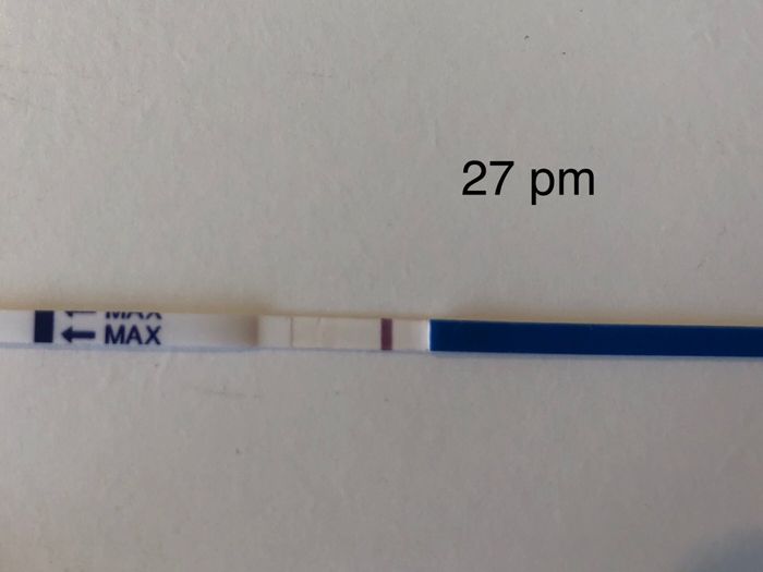Chi non le aspetta per Aprile 2020 - 1