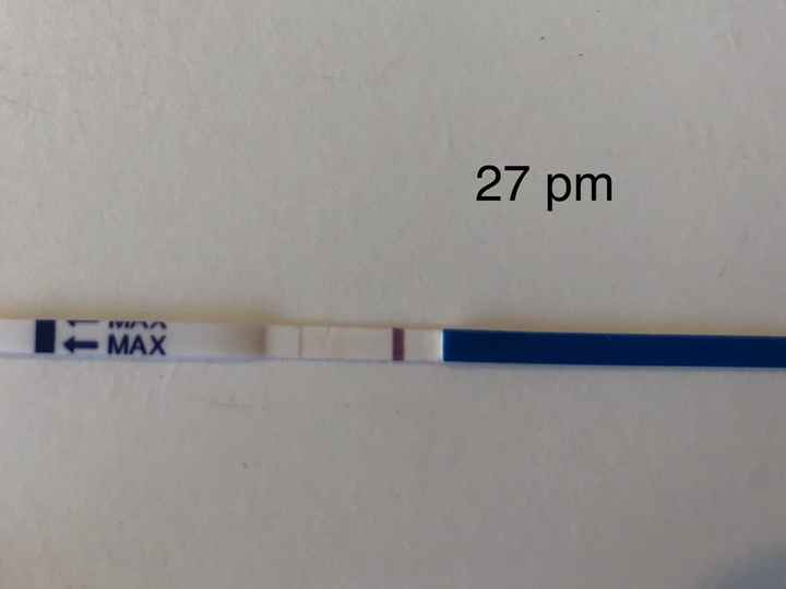 Chi non le aspetta per Aprile 2020 - 1