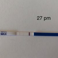 Chi non le aspetta per Aprile 2020 - 1