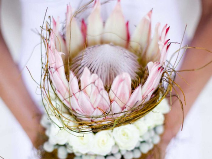 Bouquet: chi me mi mostra il suo? (o le sue idee) - 1