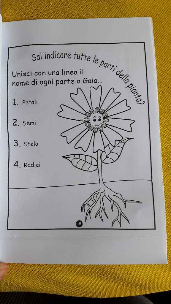 Cercasi stickers per bimbi - 4