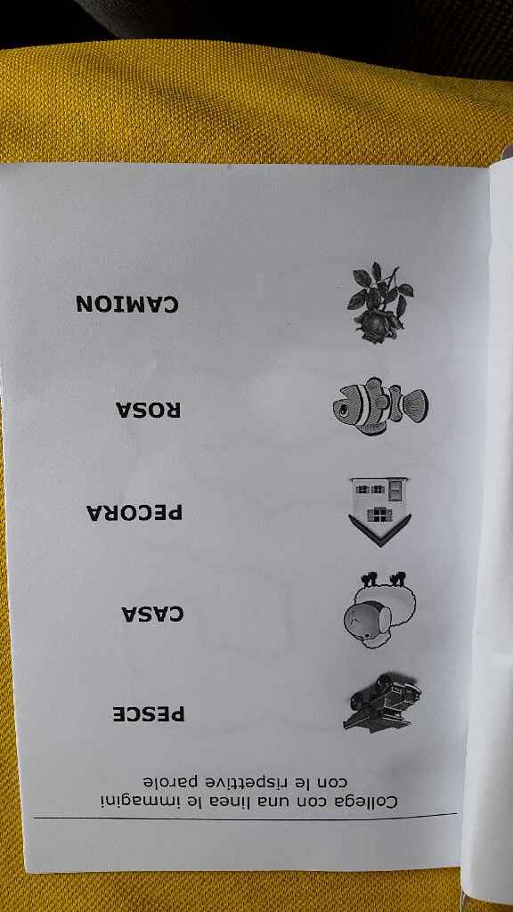 Cercasi stickers per bimbi - 6