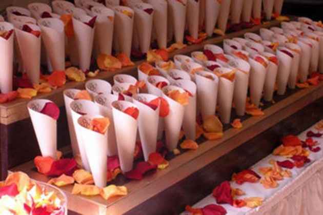 Coni porta-riso e petali