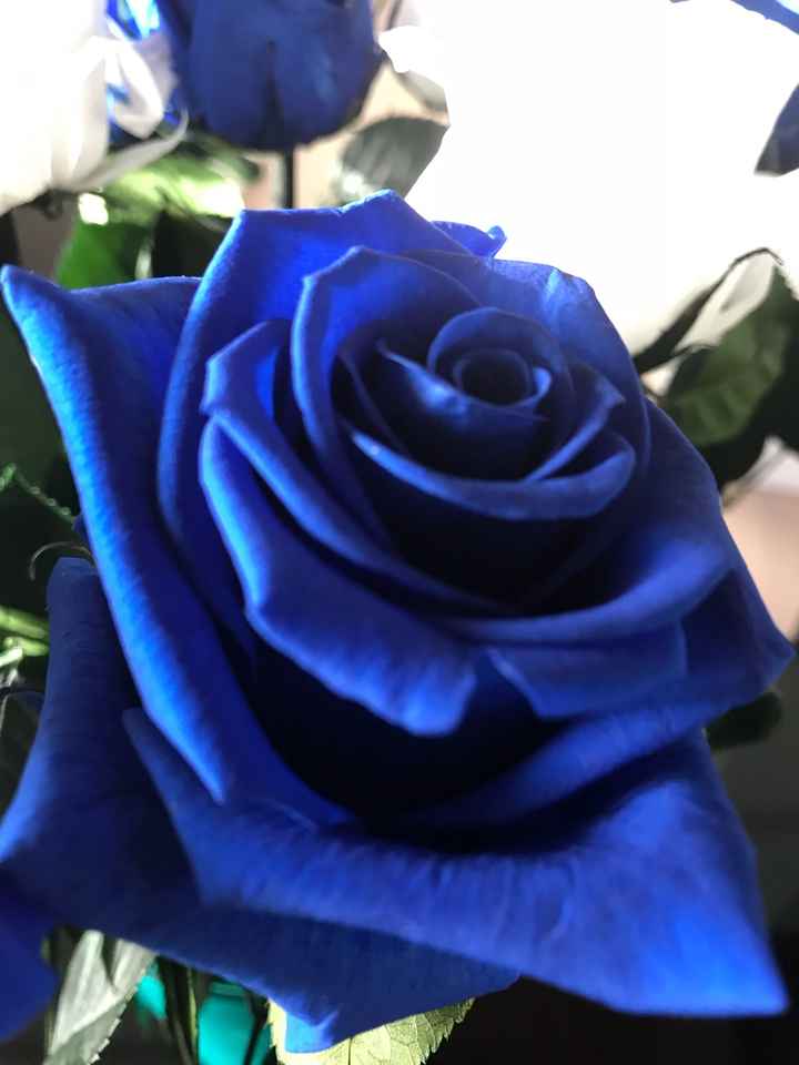 Fiori stabilizzati - 2