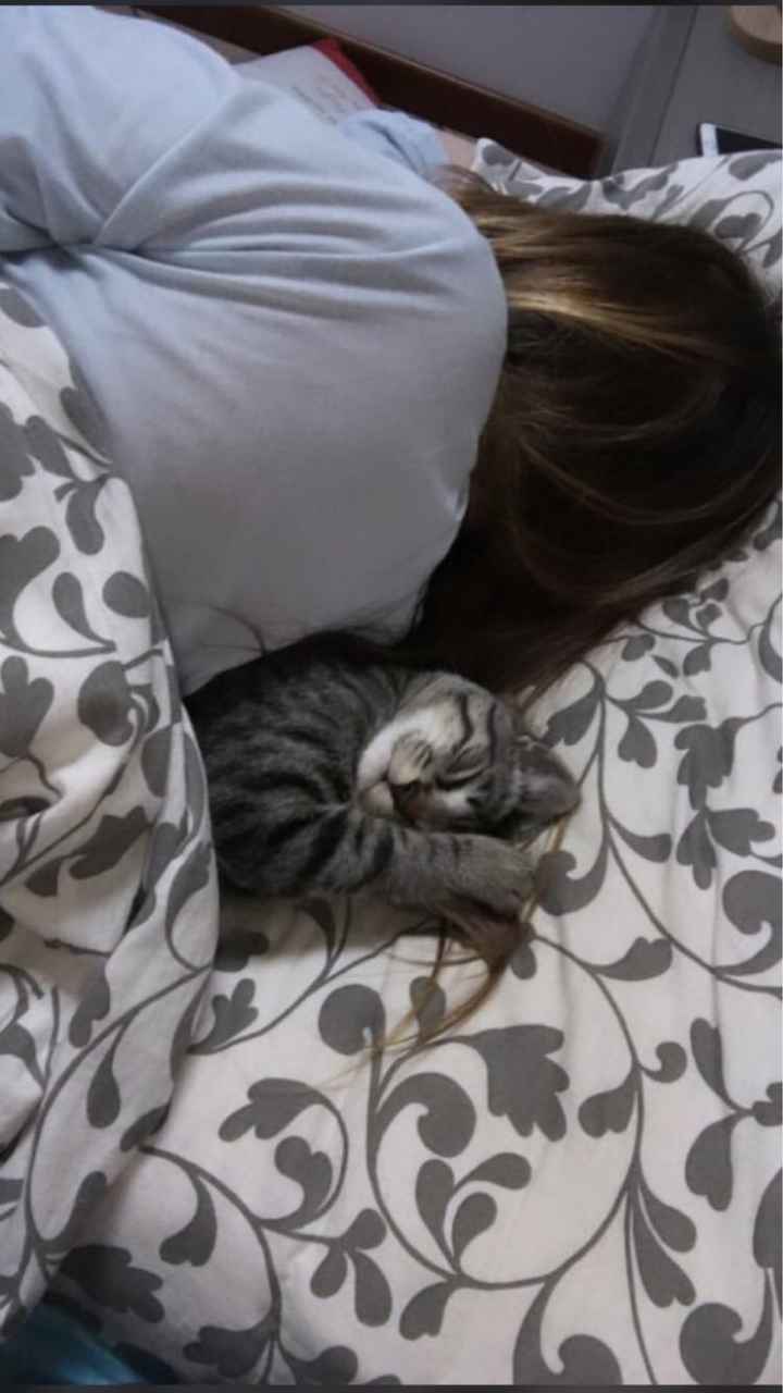 Amici a quattro zampe - 2