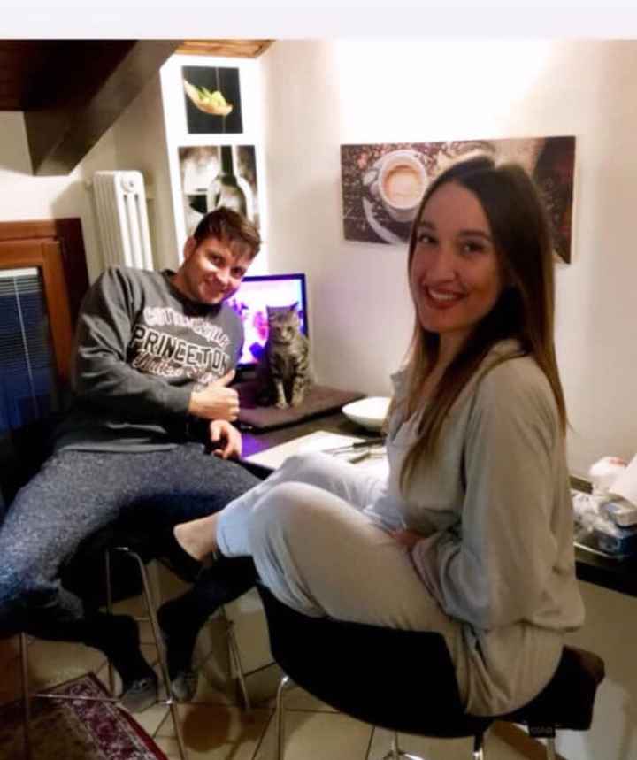 Amici a quattro zampe - 7