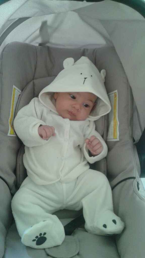 Fuori le panze!!! - 2