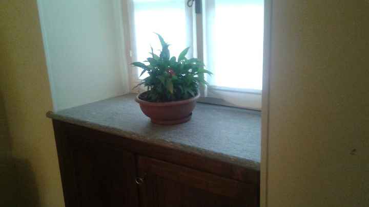 Casina finalmente finita - 2