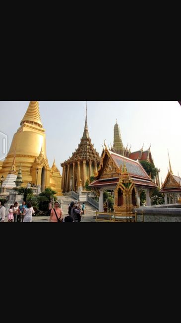 Habemus viaggio di nozze - 8