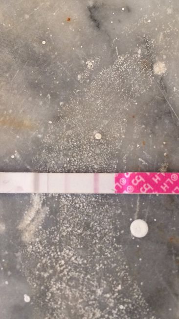 Stick ovulazione come test di gravidanza al 12 po - 1