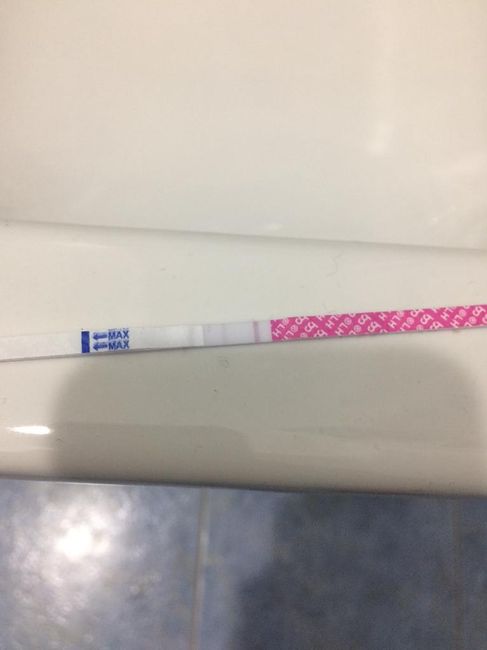 Stick ovulazione come test di gravidanza al 12 po - 1
