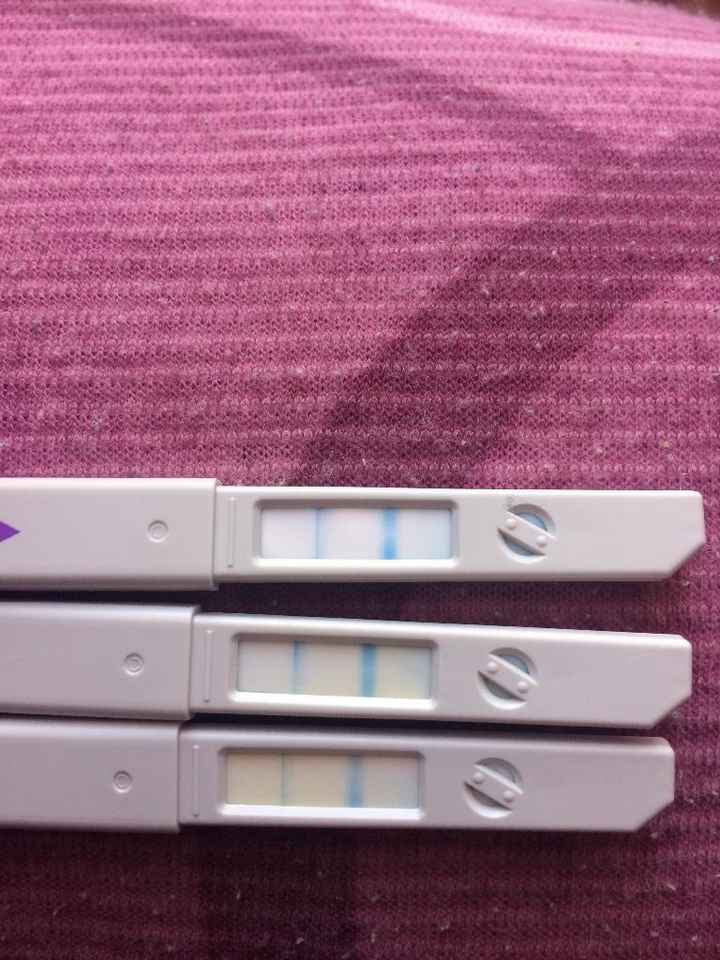 Test ovulazione clearblue come test di gravidanza precoce - 1