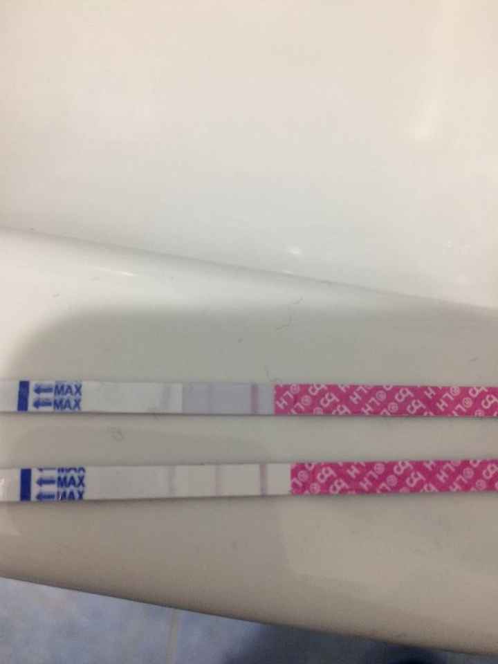 Stick ovulazione come test di gravidanza al 12 po - 1