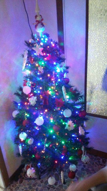 Il nostro albero - 1