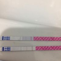 Stick ovulazione come test di gravidanza al 12 po - 1