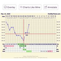 Come individuare l’ovulazione sul grafico della tb - 1