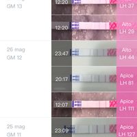 Come individuare l’ovulazione sul grafico della tb - 1