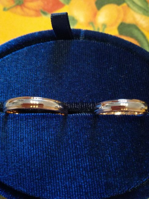 a -7 fedi ritirate - 2