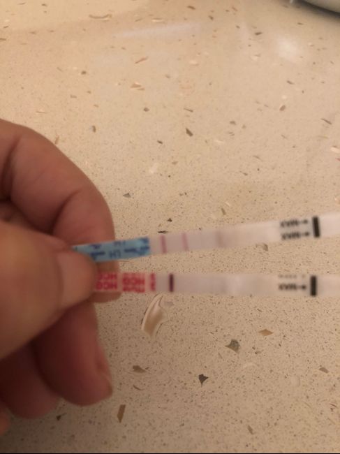 Secondo voi ghost line?! - 2