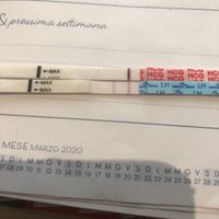 Secondo voi ghost line?! - 1