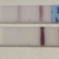 Secondo voi ghost line?! - 1