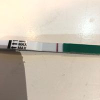 Stick hcg al 9 po, i vostri pareri?? - 2