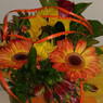 Flos