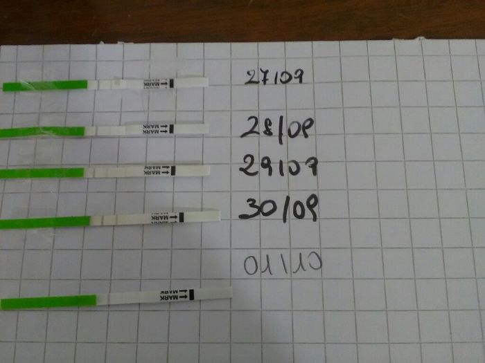 Mi date un aiuto? - 2