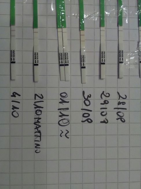 Mi date un aiuto? - 1