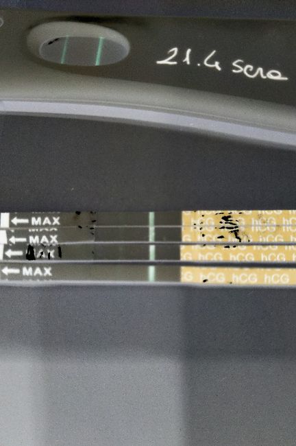 Aiuto non scurisce 1