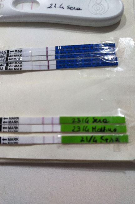 Aiuto non scurisce 3