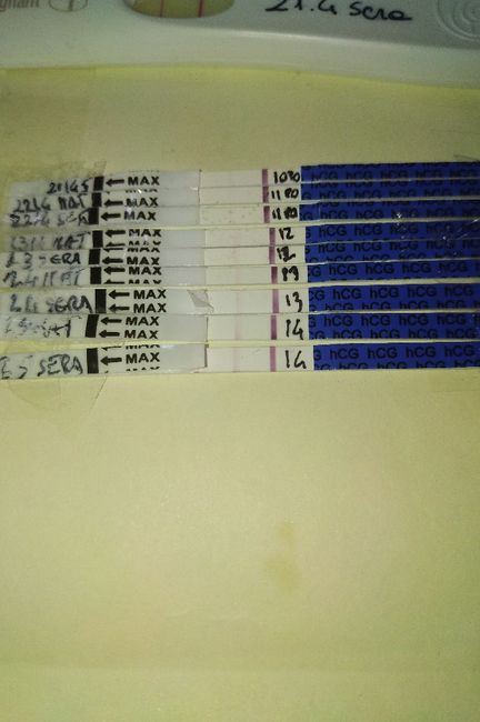 Aiuto non scurisce 1