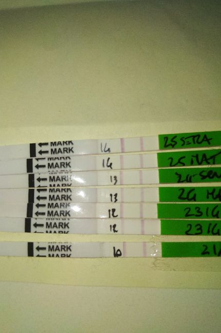 Aiuto non scurisce - 2