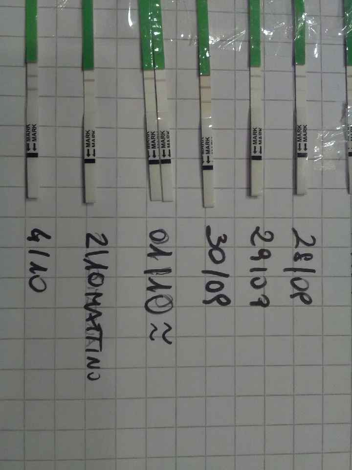 Mi date un aiuto? - 1