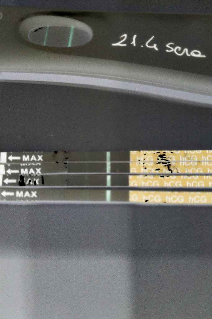 Aiuto non scurisce - 1