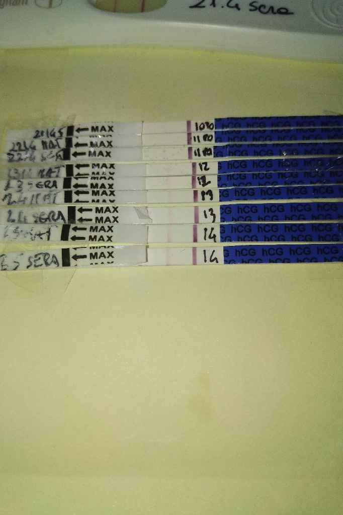 Aiuto non scurisce - 1