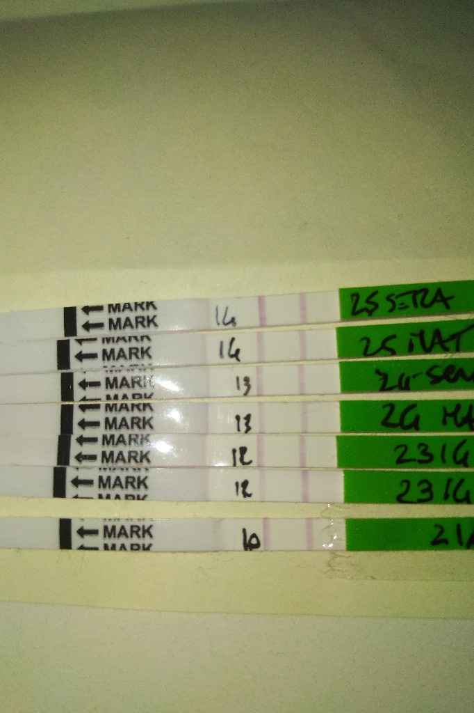 Aiuto non scurisce - 2