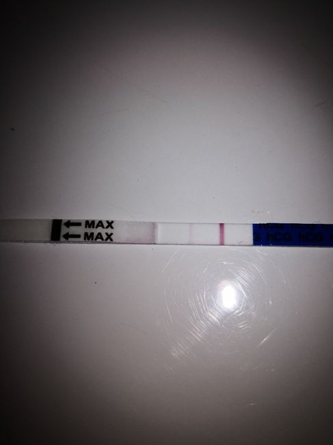 Aspiranti mamme di Novembre 2018!!!🍀 1