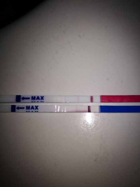 Aspiranti mammine di Novembre 2018!!!🍀 - 2