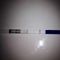 Aspiranti mammine di Novembre 2018!!!🍀 - 1