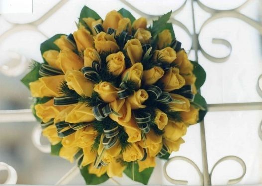 vvvvvvvvvvvvvvvvvvvvvvvvvvvvvvv