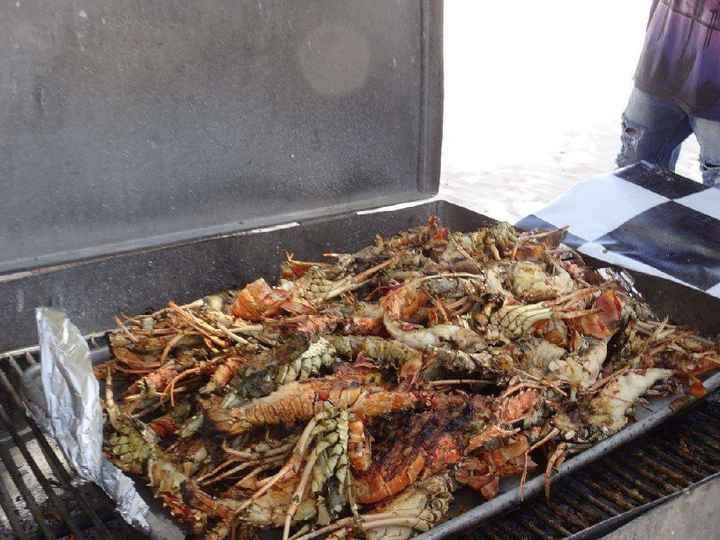 Il nostro viaggio stupendo - 24