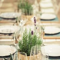 Latta, cassette, iuta o vasi bianchi? - 1