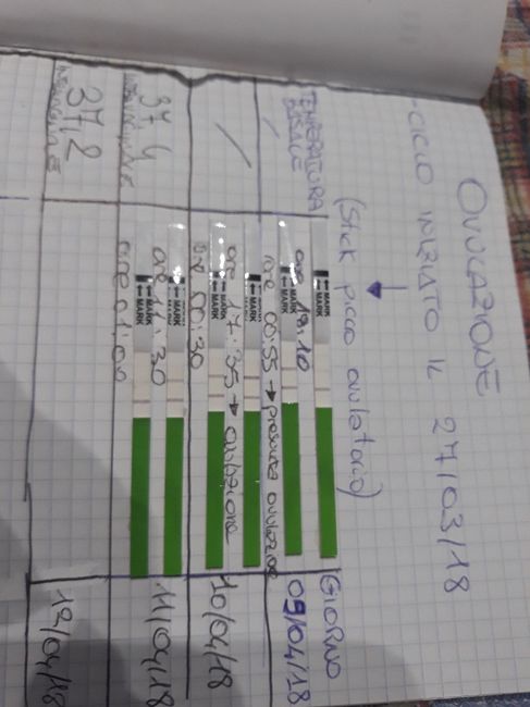 Esperte di test canedesi help 5