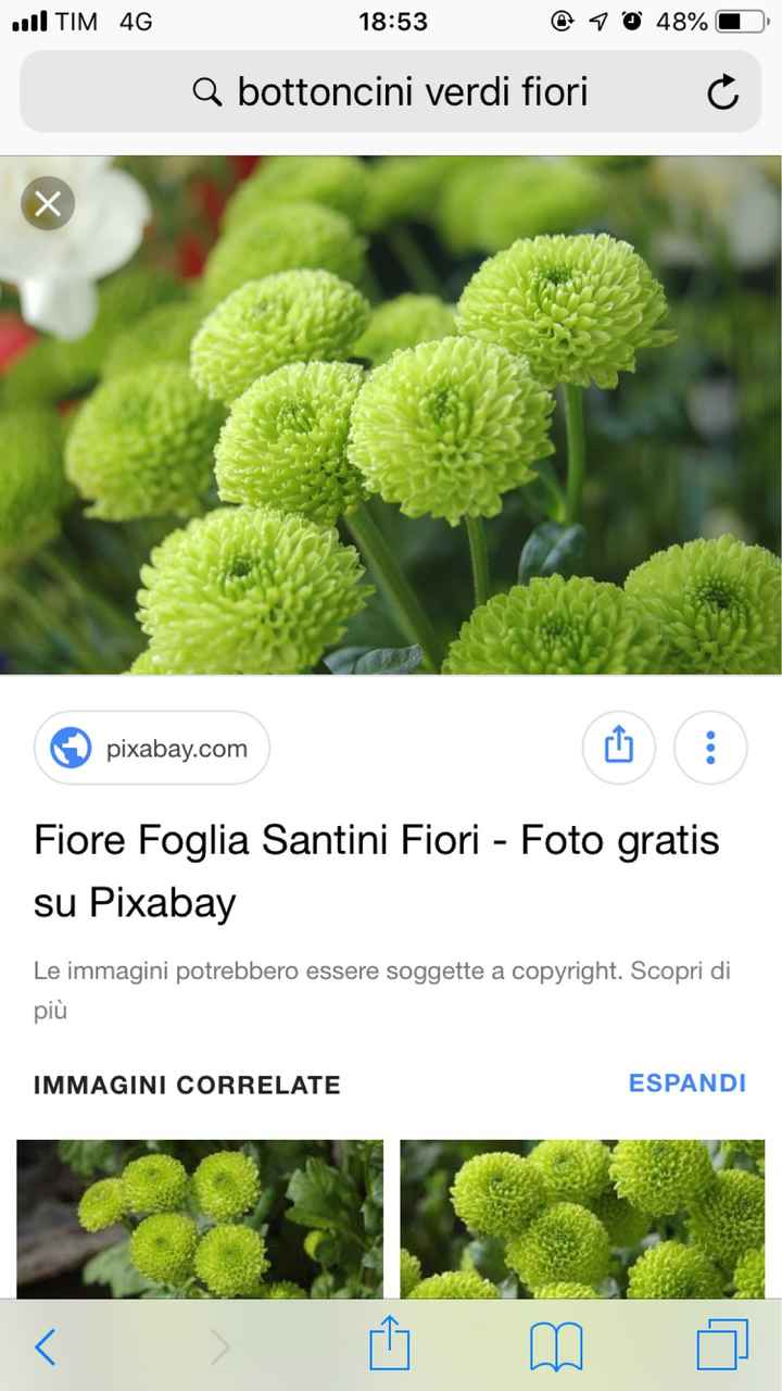 Continuano i fai da te - 1