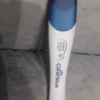 Esperte di test canedesi help - 1