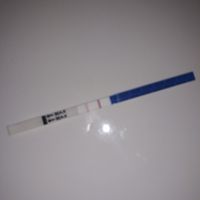 Esperte di test canedesi help - 2