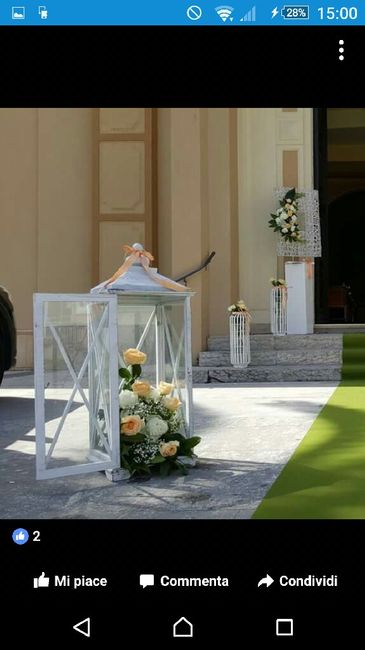 Tema: nulla e colore: bianco - 1