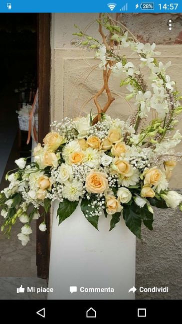 Tema: nulla e colore: bianco - 2