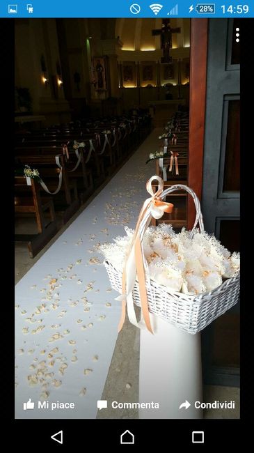 Rosa pesca:chi lo ha scelto??? - 3